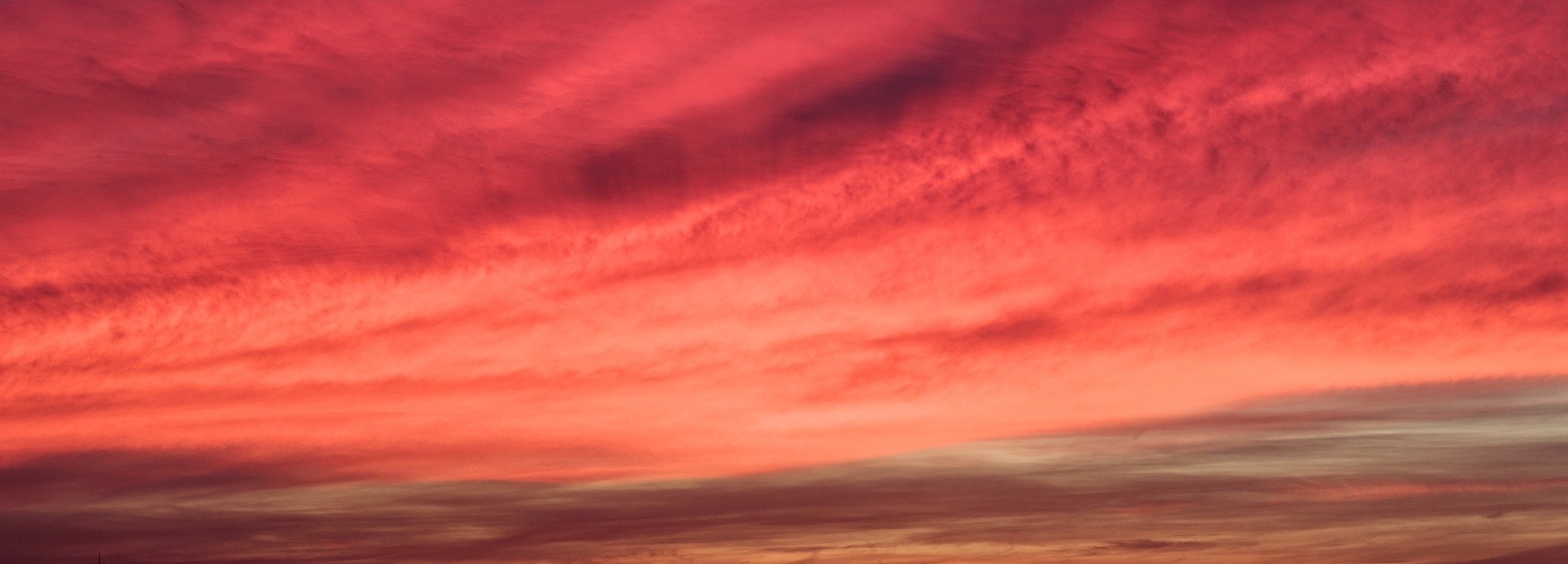 Small School, Big Heart!